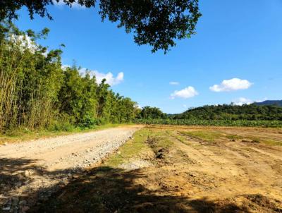 Terreno para Venda, em Perube, bairro Ana Dias