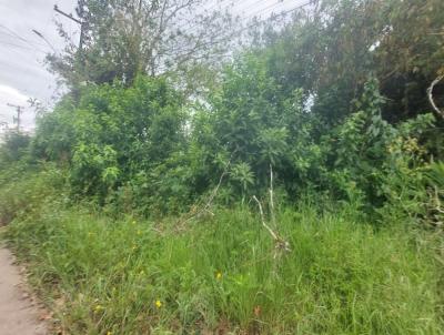 Terreno para Venda, em Itanham, bairro Indai