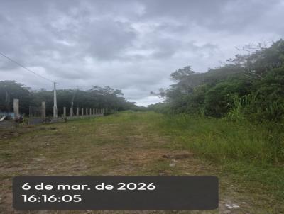 Terreno para Venda, em Itanha�m, bairro Luizamar Mirim