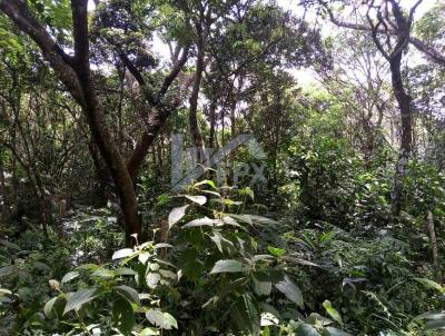 Terreno para Venda, em Itanham, bairro Jardim Maramb 2