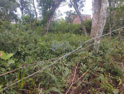 Terreno para Venda, em Itanham, bairro Balnerio Gaivota