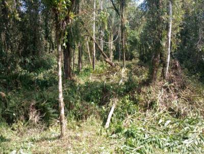 Chcara para Venda, em Itanham, bairro Jardim Coronel