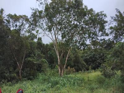 Terreno para Venda, em Itanham, bairro Balnerio Gaivota