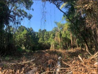 Terreno para Venda, em Itanham, bairro Balnerio Gaivota