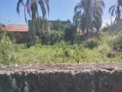imagem-miniatura