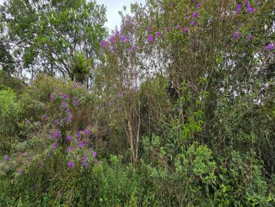 Terreno para Venda, em Itanha�m, bairro Jardim Maramb� 2