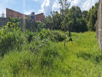 Terreno para Venda, em Itanha�m, bairro Jardim Fenix