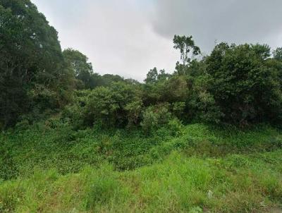 Terreno para Venda, em Itanha�m, bairro Balne�rio Gaivota
