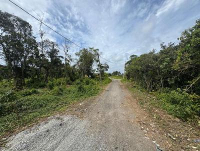 Terreno para Venda, em Itanha�m, bairro Luizamar Mirim