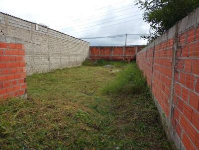 Terreno para Venda, em Itanha�m, bairro Jardim das Palmeiras