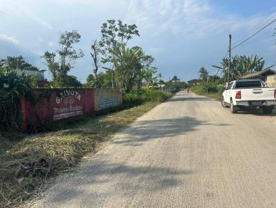 Terreno para Venda, em Itanha�m, bairro Luizamar Mirim