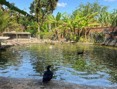 Ch�cara para Venda, em Mongagu�, bairro Agenor de Campos, 1 dormit�rio, 1 banheiro, 10 vagas