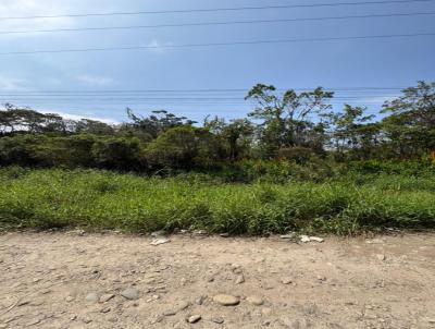 Ch�cara para Venda, em Itanha�m, bairro Indai�