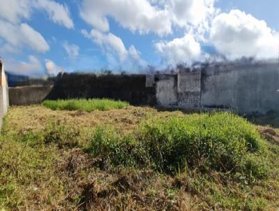 Terreno para Venda, em Itanha�m, bairro Balne�rio Calif�rnia