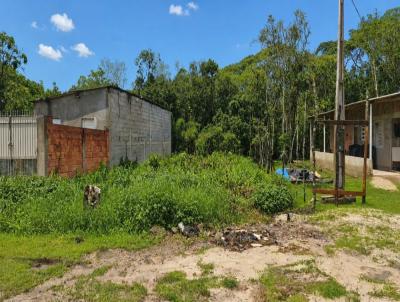 Terreno para Venda, em Itanha�m, bairro Luizamar Mirim
