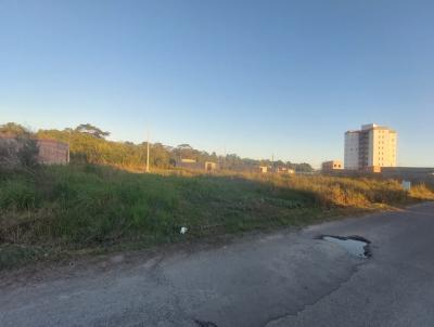 Terreno para Venda, em Itanha�m, bairro Guapura