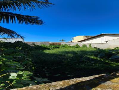 imagem-miniatura